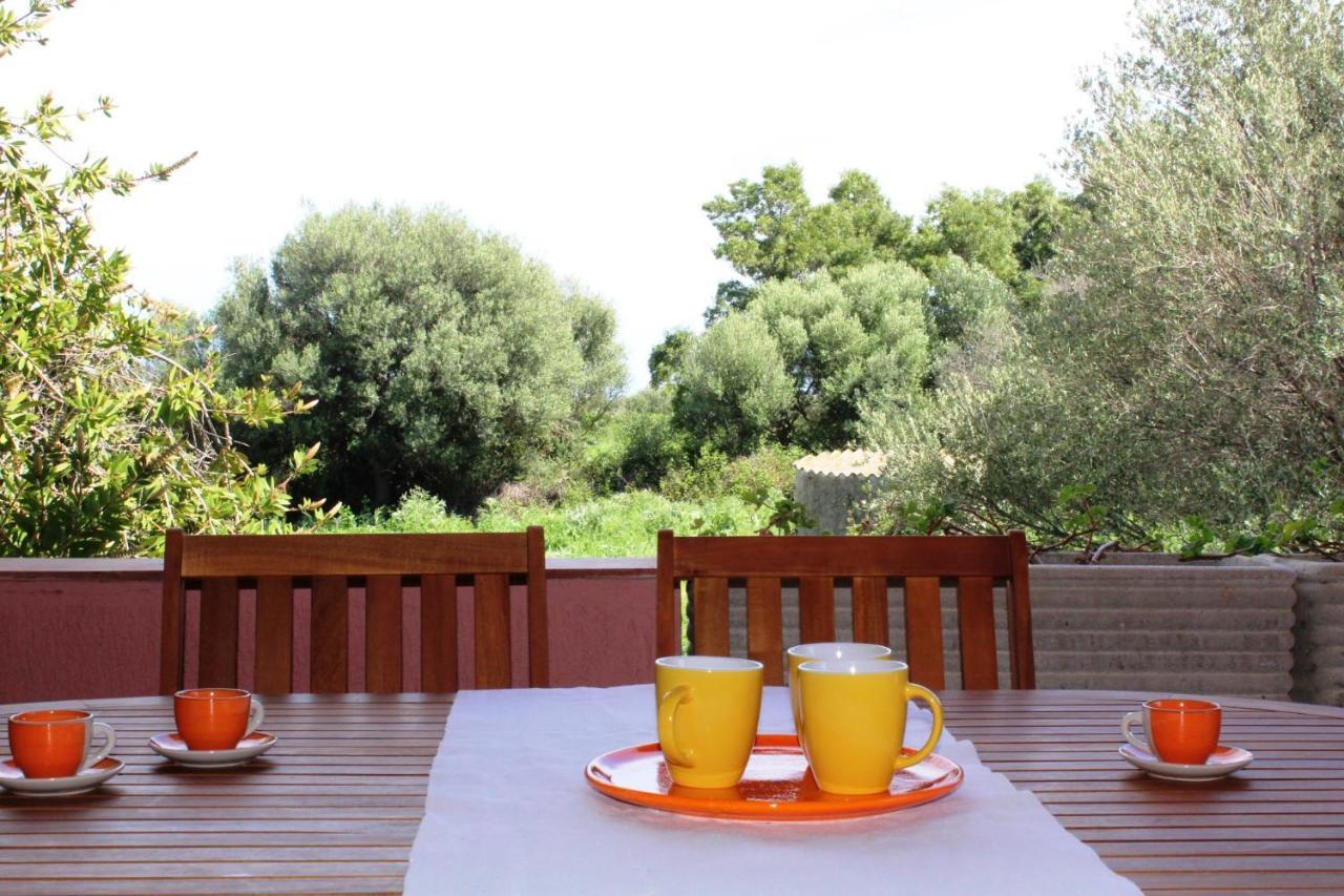 Residence Oasi E Oasi Blu Сан-Теодоро Экстерьер фото
